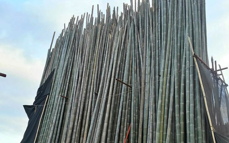 竹子搭棚 竹子搭棚